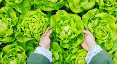 Seven Types Of Farm Loans You Should Know About