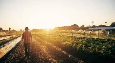Four Questions To Ask Before Buying Land To Farm