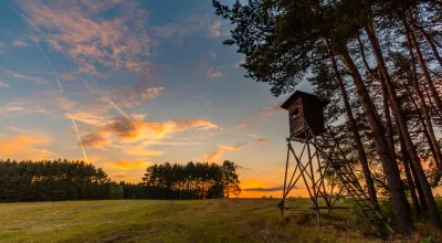 5 Tips For Making The Most Of Your Rural Land Investment