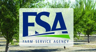 A tree vineyard with the Farm Service Agency logo overlayed on top