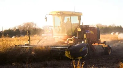  Exploring A Career Path In Food, Agricultural & Environmental Sciences