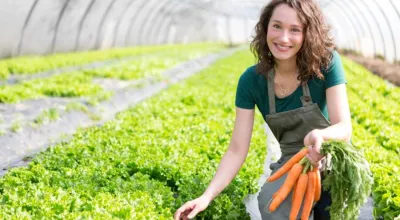 Women farming carrots