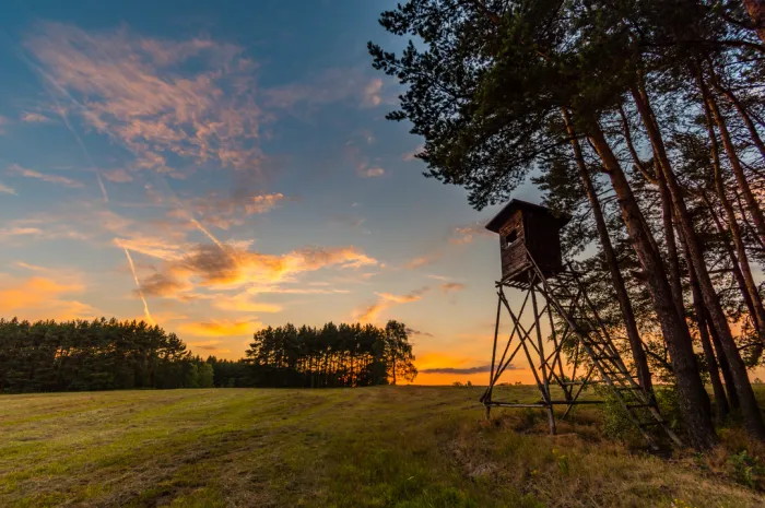 5 Tips For Making The Most Of Your Rural Land Investment