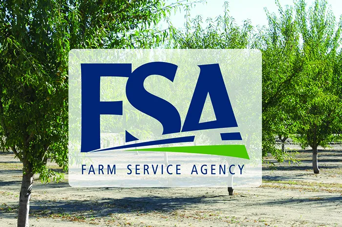 A tree vineyard with the Farm Service Agency logo overlayed on top