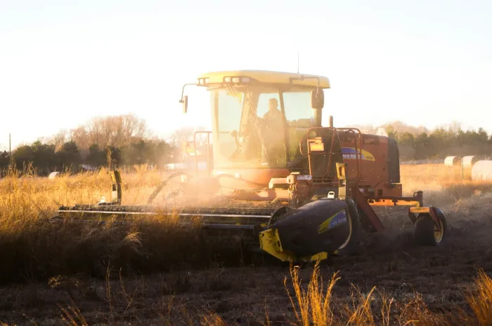  Exploring A Career Path In Food, Agricultural & Environmental Sciences
