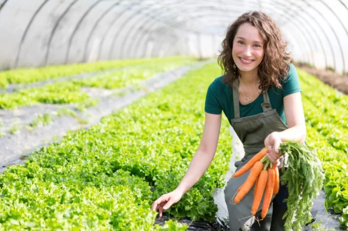 Women farming carrots