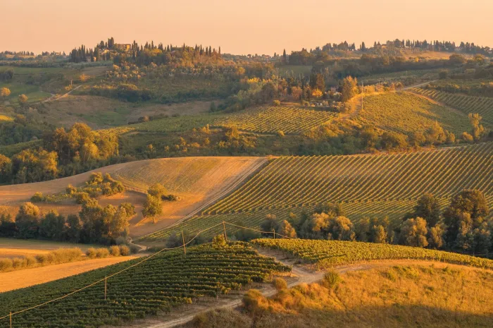 Building Credit & Savings To Grow Your Farm Operation