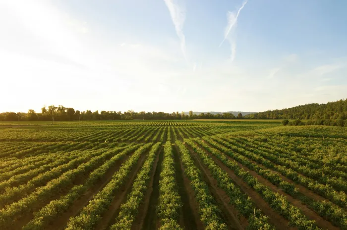 Essential Farm Loans You Should Know About with Scott Parker