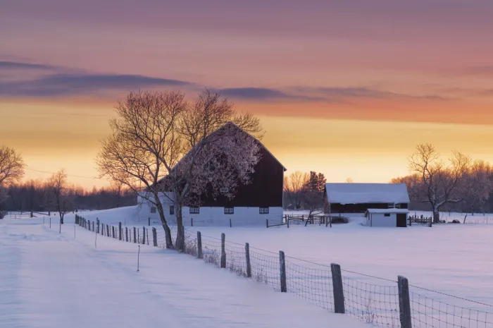 How Beginning Farmers Can Manage Seasonal Income